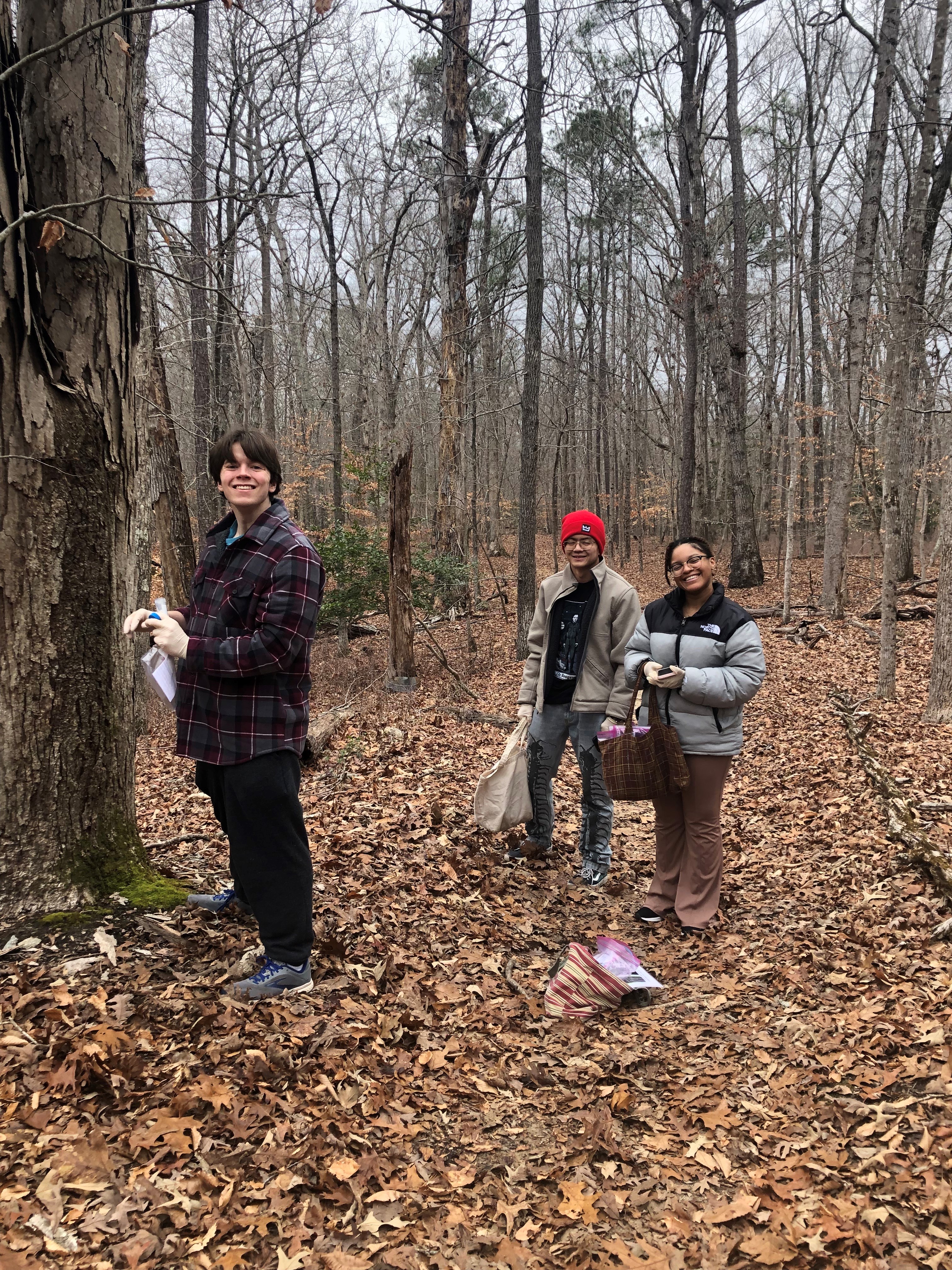 Students in the Wild Yeast and Fermentation course sampling oak trees in the College Woods.  Photo credit: Helen Murphy