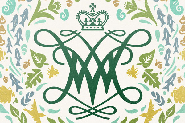 Year of the Environment