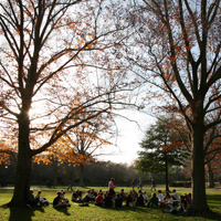 Seated students in an outdoor location on campus with tall trees in the foreground