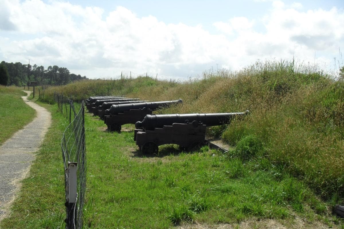 A row of cannons sitting behind a fence and tall grasses on a hillside.