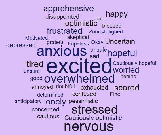 excited, nervous, anxious, overwhelmed, stressed, apprehensive, frustrated, optimistic, hopeful, tired, lonely, scared, worried, cautiously-optimistic, depressed, disappointed, happy, uncertain, cautious, confused, sad, exhausted, concerned, cautious