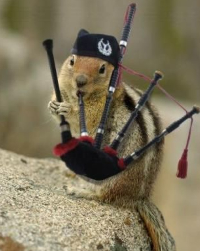 chipmunk-bagpipes