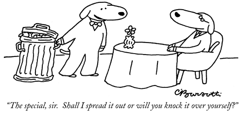 dog-cartoon-2.png