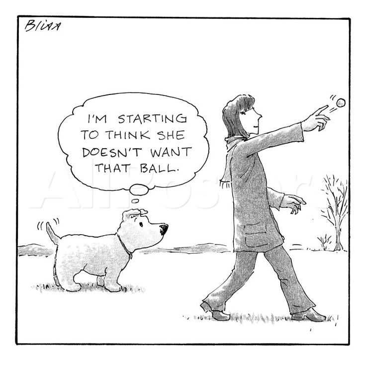 dog-cartoon-3.png