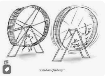 hamster-wheels.png