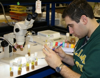 Student researcher working on his research in a laboratory