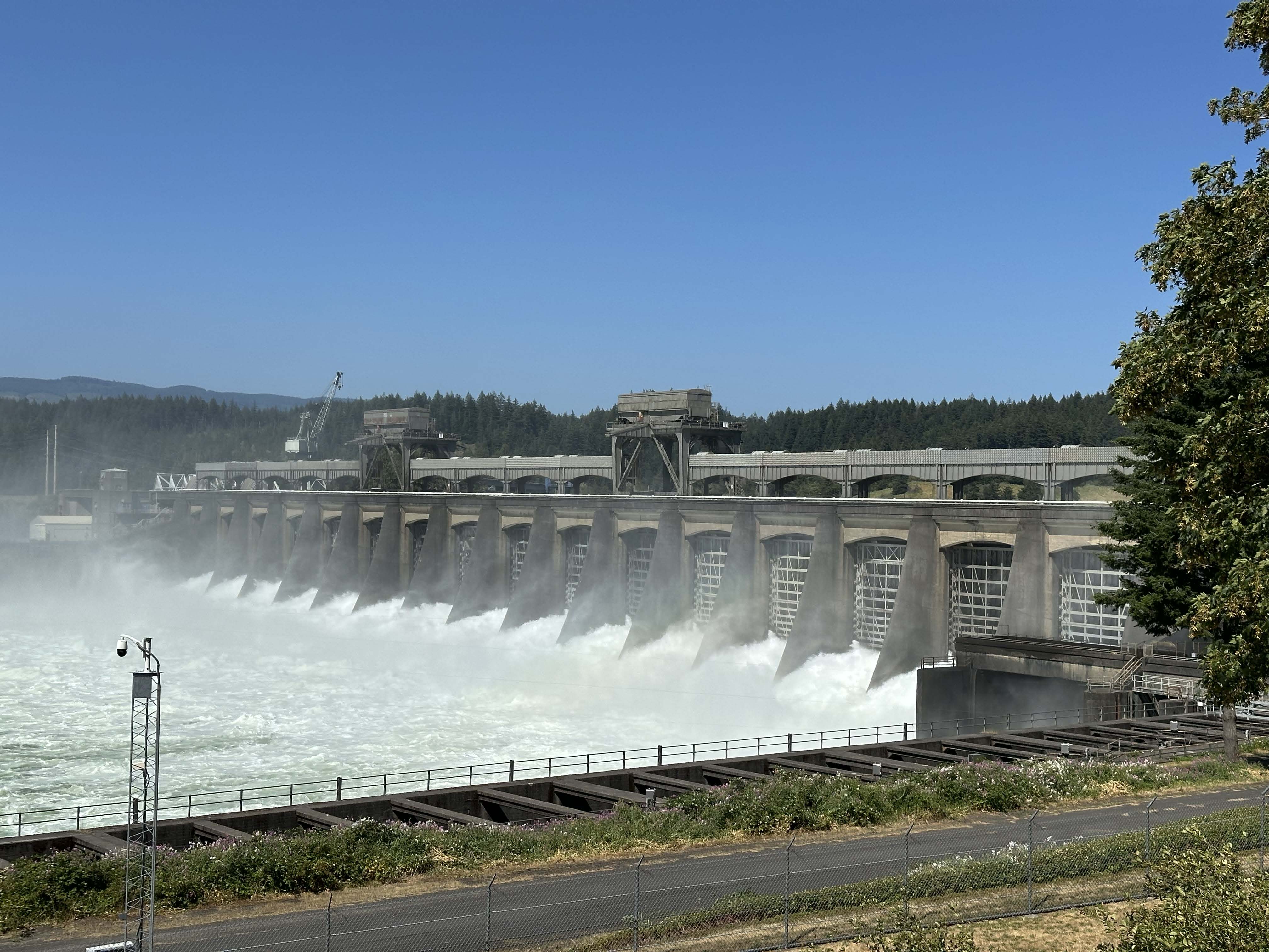 Kaminski investigates the history and impact of the Columbia River Basin's dam system and its negative impact on fish populations, particularly salmon, on which the Yakama are highly dependent. (Photo by Max Kaminski)