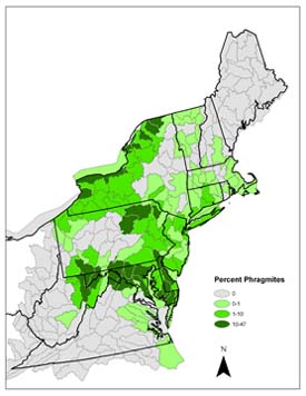 A map of the number of invasive species in the northeastern U.S. created with GIS by Randy Chambers, professor of biology and director of the Keck Environmental Laboratory