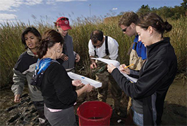 Students study wetland dynamics in the field.
