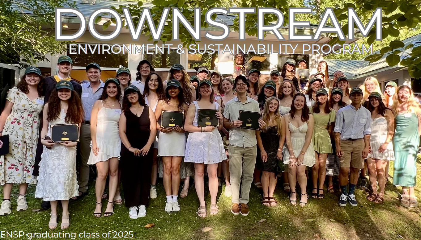 downstream fall 2025 image