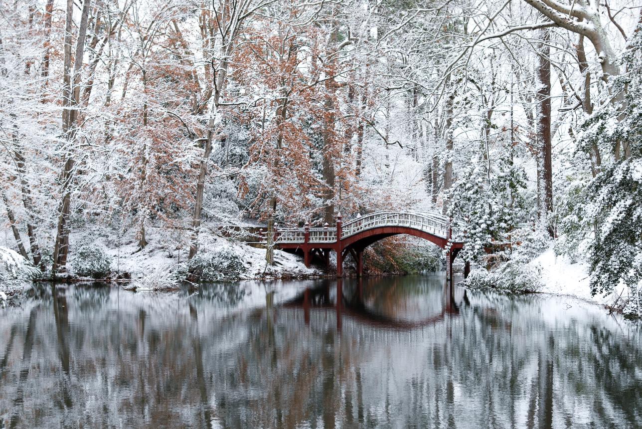 The William & Mary Crim Dell bridge in the snow