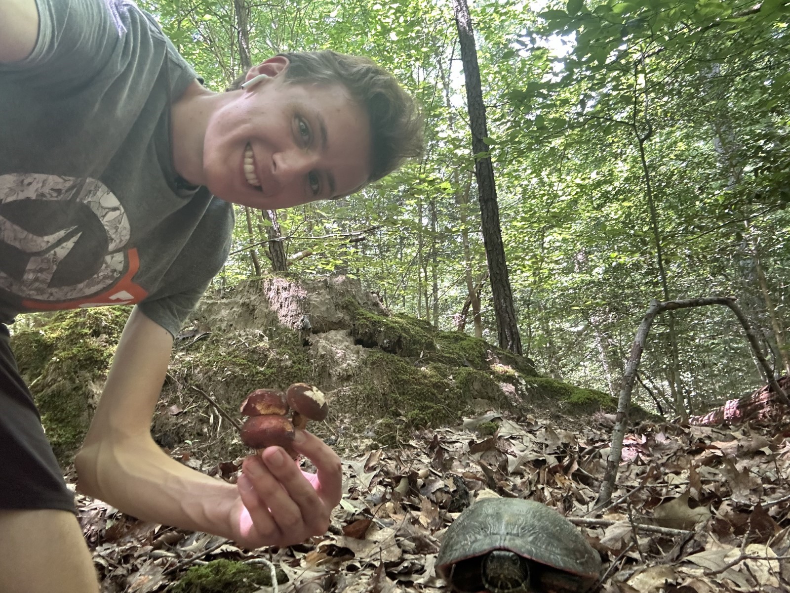 Raffetto collecting his fungal samplings (Photo by Alexander Raffetto).