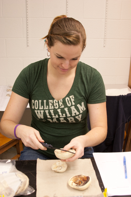 Graduate student Ally Campo uses calipers to measure a shell recovered from an island midden.