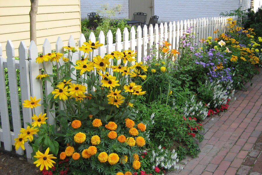 The President's Garden