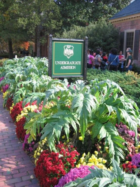 Garden at the undergraduate admission building