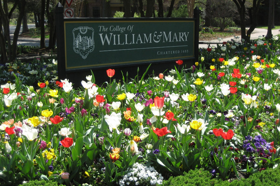 Spring flowers in the College Corner garden