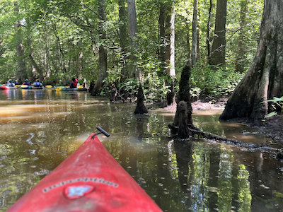 Dragon Run kayaks