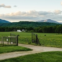 Farm landscape