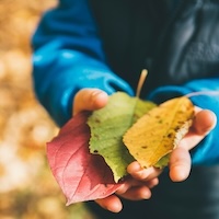 Child with leaves