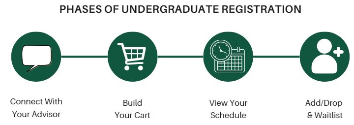 The four basic phases of UG registration for fall and spring terms: advising, cart-building, viewing your schedule, and add/drop