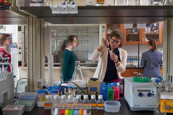 Students actively working in a chemistry lab