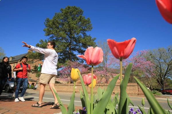 A tour group walking near campus with spring flowers in the foreground