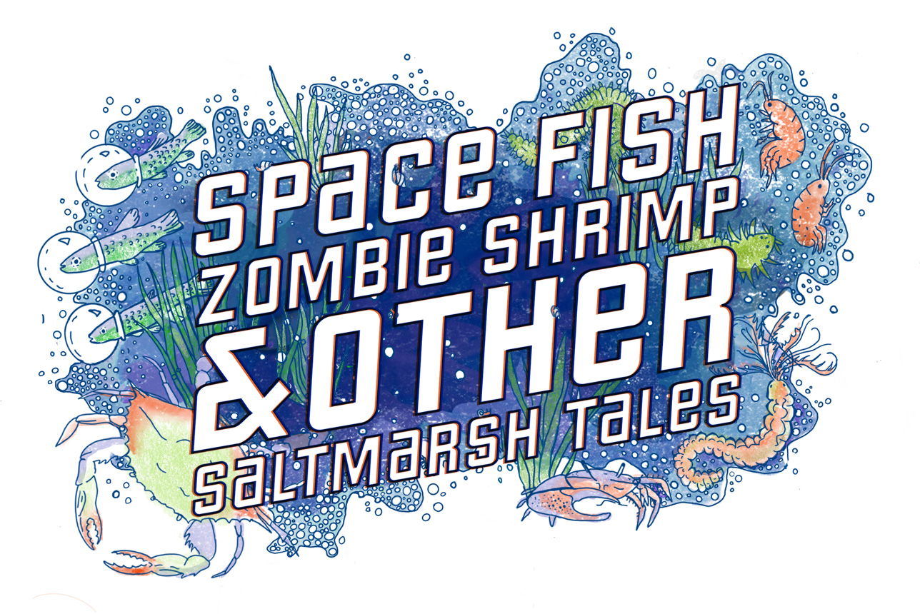 Space Fish, Zombie Shrimp & Other Saltmarsh Tales