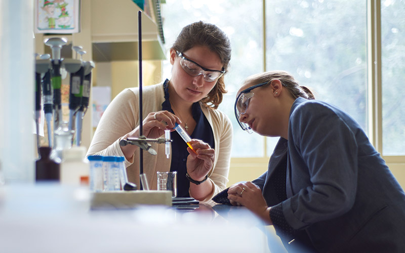 Two students at work in a sunny lab with safety eyewear on.