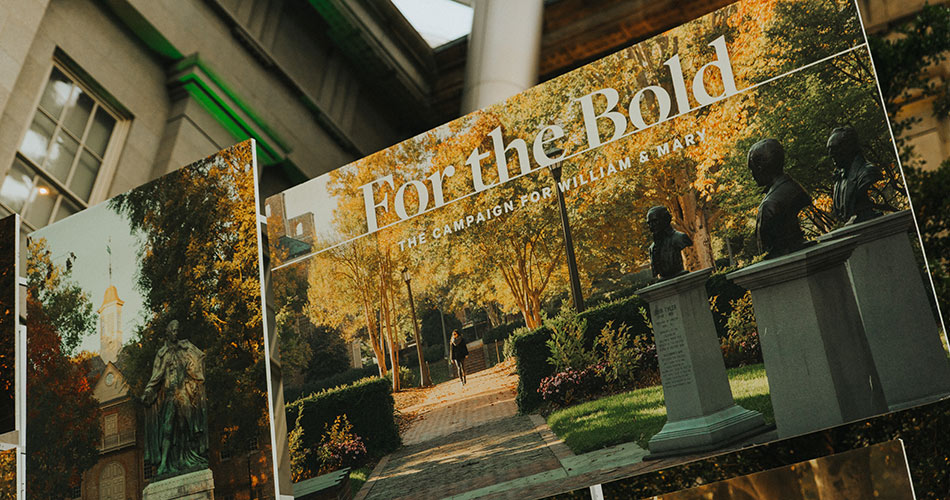 {em}For the Bold{/em} Campaign