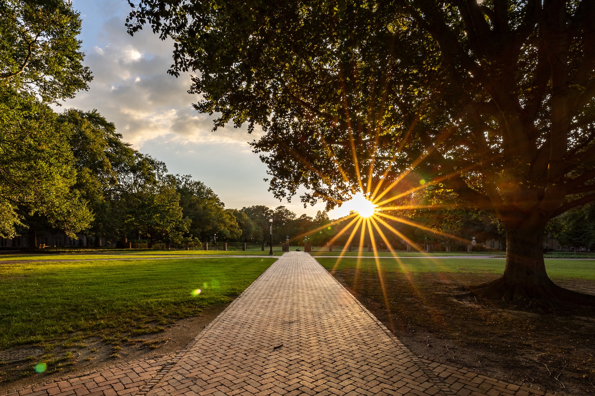 Sunken Garden at sunset