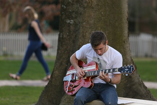 student_playing_guitar_tree